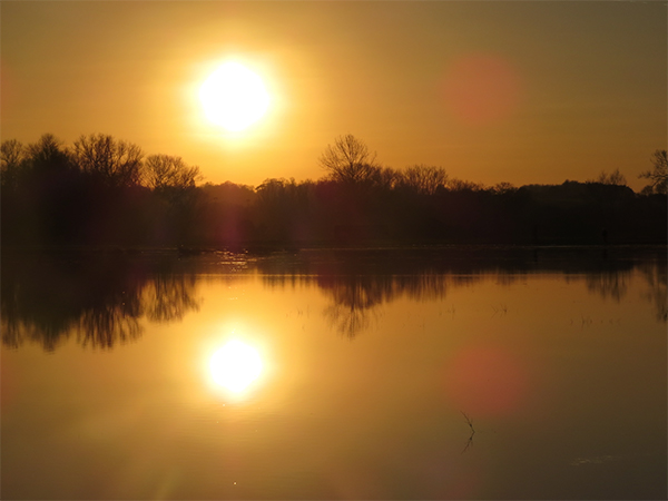 The Cabin Sudbury Local Area
